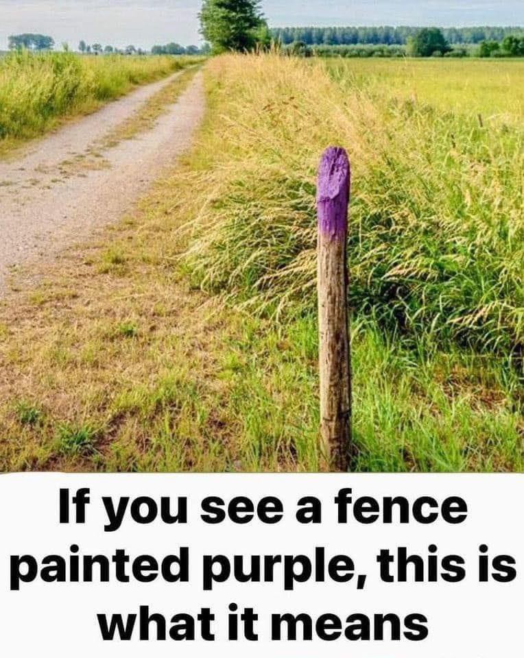 If You See A Fence Painted Purple test